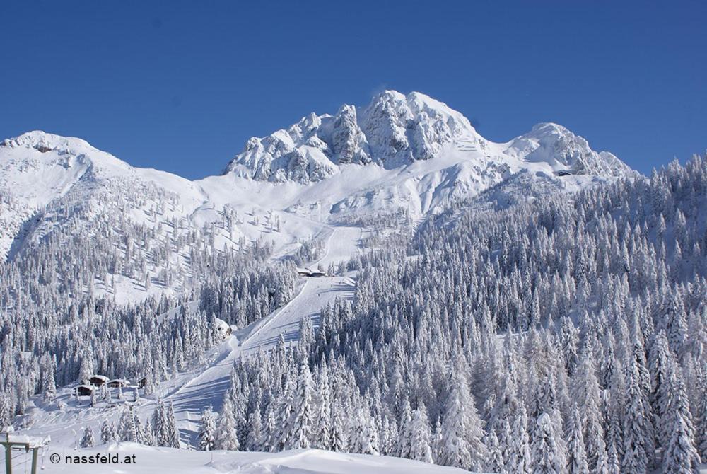 Haus Hoffmann Apartman Sonnenalpe Nassfeld Kültér fotó